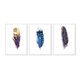 thumbnail image 1 of Set de Cuadros Abstracto Plumas Multicolor con Marco Blanco 50x40 CM, 1 of 1