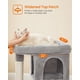 thumbnail image 3 of Cat Tree Feandrea Cat Tower L con condominio para gatos grandes, 3 of 9
