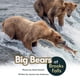 thumbnail image 1 of Reserva Big Bears at Brooks Falls de AO Press, 1 of 1