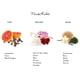 thumbnail image 5 of Set Eau de Toilette Frida Kahlo Rojo 100 ml Floral, 5 of 6