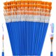 thumbnail image 1 of Small Paint Brushes Bulk, 160 Pcs Flat Tip Round Acrylic Paint Brushes, 1 of 3