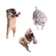 thumbnail image 5 of Pugs Acuario Ornamento Pugs Estatua Moderna Para Fish Tank Office Decoración, 5 of 5