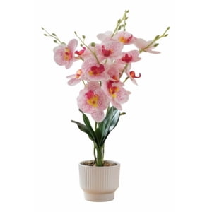 Genérico - Planta Decorativa Artificial Arreglo Elegancia Floral Jhn