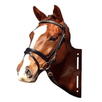 Bothyi - Escultura Artística De Cabezas De Animales Para Comedor, Centro De Mesa Para Colgar En La Pared, Caballo