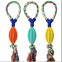 Genérico - Juguetes De Cuerda De Perro Interactivo