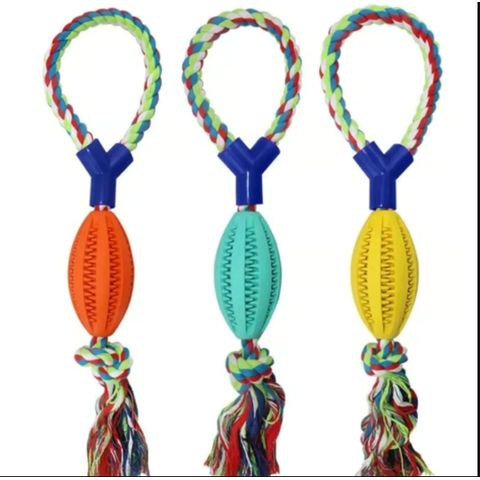 Genérico - Juguetes De Cuerda De Perro Interactivo