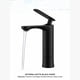 thumbnail image 1 of Llave Grifo Monomando Para Baño Lavabo Mezclador Grifería Lava Mano Color Negro Mate, 1 of 4