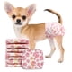 thumbnail image 1 of Pañales para perras XXS - Pack de 16 unidades, 1 of 8