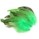 thumbnail image 3 of 50 Plumas Para Manualidades, Decoraciones Para Bodas, Fabricación De Joyas, Color Verde, 3 of 5