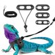 thumbnail image 1 of Arnés de Correa para Lagarto Barbudo Uxcell, Arnés de Dinosaurio para Lagarto Ajustable con Cuerda de Tracción de Cuero Suave (S/M/L, 3 Piezas, Negro), para Lagarto Barbudo Reptil Ardilla Rata, 1 of 7
