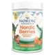 thumbnail image 1 of Multivitamínico Nordic Naturals Nordic Berries 200 gomitas durante más de 2 años, 1 of 3