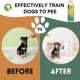 thumbnail image 3 of Spray para Perros OAIEGSD 240 ml – Ayuda contra Marcado y Accidentes, 3 of 7