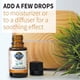 thumbnail image 2 of Aceite esencial de incienso Garden of Life, 15 ml, USDA Organic, 2 of 3
