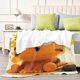 thumbnail image 4 of Garfield (2) - Garfield (2) anti-pilling, suave, ligera, esponjosa y acogedora de lujo para hogar y cocina – Perfecta para niños y adultos,100X130cm, 4 of 6