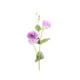 thumbnail image 1 of Vara Lisianthus púrpura 82 cm, 1 of 2