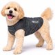 thumbnail image 1 of Playera sin Mangas para Perro Pet Life Active Aero-Pawlse Jaspeada, 1 of 9