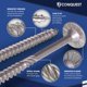 thumbnail image 3 of Tornillos para madera Conquest Fasteners 2,5 cm × 25 cm T30, 3 of 7