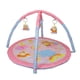 thumbnail image 1 of Gimnasio Funplay Rosado, 1 of 7