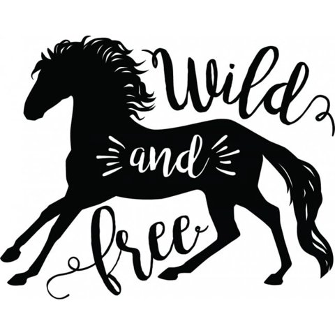 Rienda Libre Graphics - Decomural Wild And Free Horse Ws-45060