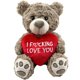 thumbnail image 1 of Oso de Peluche Messenger Bear 36 cm I Love You, 1 of 7
