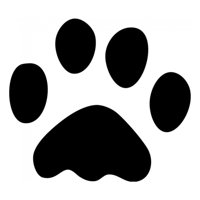 Rienda Libre Graphics - Decomural Paw Print Dog Animals Ws-15542