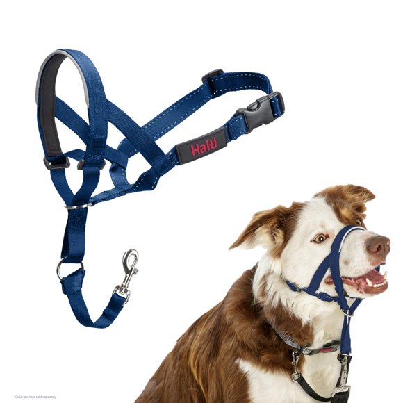 Collar de entrenamiento Halti para perro, talla 2, azul cobalto