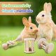 thumbnail image 3 of Juguetes de conejito de madera AOWPFVV para conejos, cobayas y hámsteres, 3 of 7