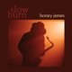 thumbnail image 1 of LP Slow Burn – Concord Music Group, 1 of 2