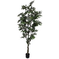 Corel - Planta Decorativa Arbol Ficus 240Cm
