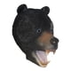 thumbnail image 4 of Máscara De Carnaval De Oso Realista Máscara De Cabeza De Oso Para La Fiesta De Halloween De Vestuario, 4 of 5