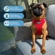 thumbnail image 2 of Arnés para perro Best Pet Supplies, pequeño, rojo, malla de aire, 2 of 8