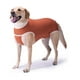 thumbnail image 5 of BODY COBRE KIMBA TRADICIONAL TALLA 0.0 (0 A 1.5 KG) naranja 0.0, 5 of 8