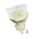 thumbnail image 1 of Magnolia Bouquet Material Pack Ramos De Flores Accesorios Para Profesionales Blanco, 1 of 3