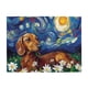 thumbnail image 1 of Puzzle CDSASHCA Dachshunds Under Stars 500 piezas, 1 of 9