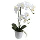 thumbnail image 2 of Orquídea blanca 51 cm en macetero, 2 of 2