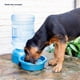 thumbnail image 3 of Cuenco de agua Petmate Big Blue Outdoor 18.9L para mascotas, 3 of 5