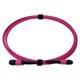 thumbnail image 2 of UI 3mt MPO-MPO 12-Fibras Type-B OM4 Multimodo MM Jumper Fibra LSZH, 2 of 4