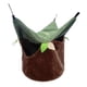 thumbnail image 2 of Nido De Pájaros Para Accesorios De Jaula, Casa Pequeña Para Mascotas Para Hámster, Periquitos, Tortolitos S, 2 of 5