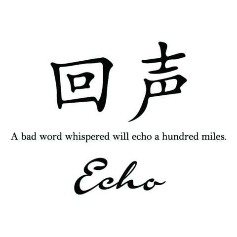 Rienda Libre Graphics - Decomural Echo Chinese Symbol Ws-34127