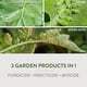 thumbnail image 3 of Fungicida Garden Safe 3 en 1 Spray 946ml Aceite Neem, 3 of 3