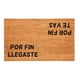 thumbnail image 1 of Limpiapiés Choapino Biodegradable Por Fin Llegaste, 1 of 3