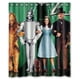thumbnail image 1 of Cortina de ducha de El Mago de Oz, juego de cortinas de baño con ganchos, tamaño 60 x 72 pulgadas, 1 of 3
