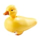 thumbnail image 5 of Juguete De Pato Eléctrico Para Decoración De Mesa, Flotador De Pato, Juguete Para Ni?os Y Ni?as, Color Amarillo, 5 of 5