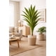 thumbnail image 2 of Drácaena Artificial Grande 160 cm Planta Decorativa Interior, 2 of 4