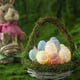 thumbnail image 5 of Guirnalda de luces de Pascua con pilas, decoración de Pascua con 20 LED, huevos de Pascua coloridos para fiesta, apartamento, interior (blanco cálido/3 m), 5 of 6
