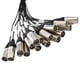 thumbnail image 3 of Snake Splitter PRORECK 16 Canales TRS XLR Rack Mount, 3 of 3