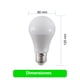 thumbnail image 4 of Ampolleta Led Drl A60 15w 1200lm Luz Fría 6500k Blanco Frío, 4 of 8