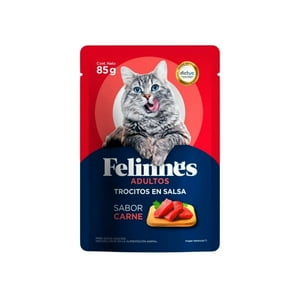 Sachet Felinnes Adulto Carne 24 Un.