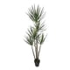 thumbnail image 1 of Árbol Yucca 183cm Artificial, 1 of 3