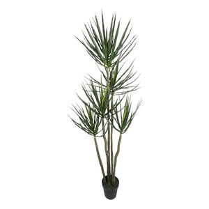 Corel - Árbol Yucca 183Cm Artificial